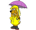 Dog in Raincoat