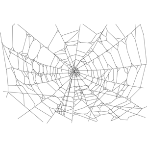 Realistic Spider Web