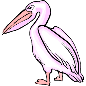 Pelican 05