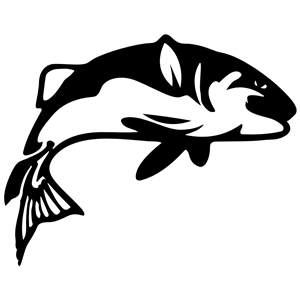 Stylized Fish Silhouette Rotated