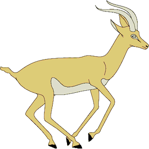 Antelope 001