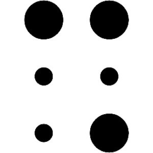 Braille M10