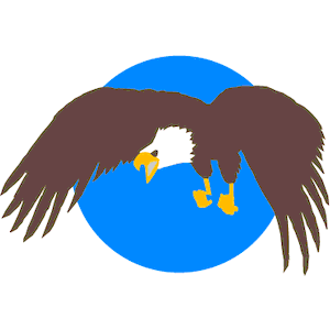 Eagle 20