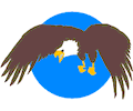 Eagle 20