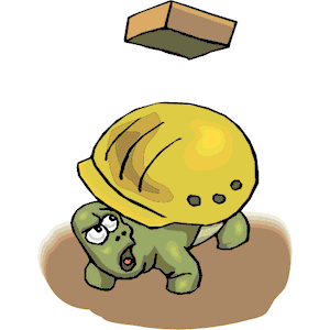 Worker Tortoise