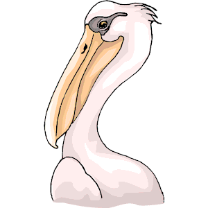 Pelican 14