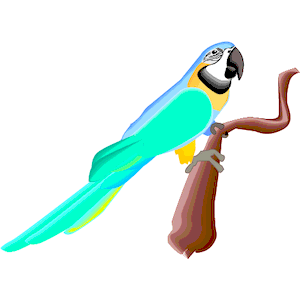 Parrot 15
