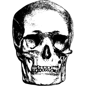 Skull 7