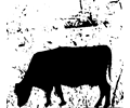 Cow silhouette