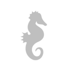 Gray Seahorse