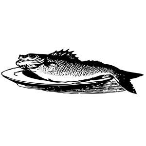 fish on a plate
