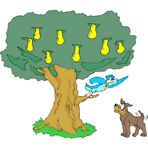 01 Partridge in a Pear Tree