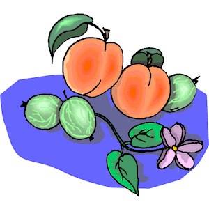 Peaches 07