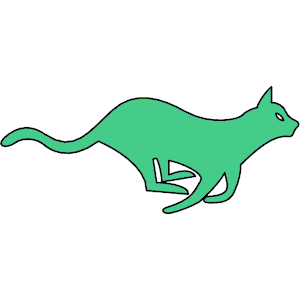 Cat 004