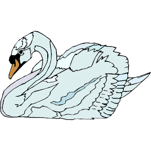 Swan 18