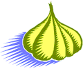 Garlic 01