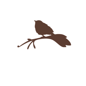 Bird On A Branch Silhouette