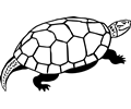 Download Turtle Cliparts Free Turtle Vector Cliparts Turtle Svg Files Wmf Emf Png At Cliparts101 Com Yellowimages Mockups