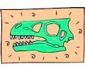 Dinosaur Skull 13