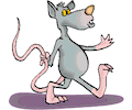 Rat Holding Tail