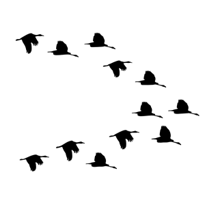 Flock Of Ducks Flying Silhouette