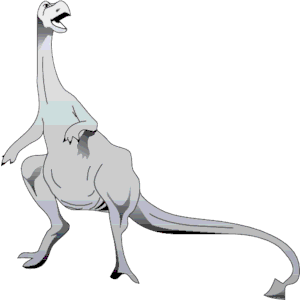 Dinornis 5