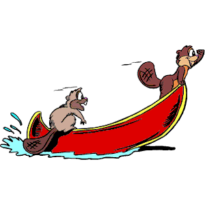 Beavers Rowing