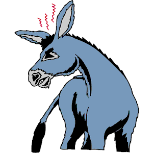 Donkey 003