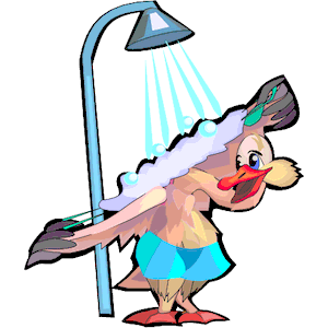 Duck in Shower
