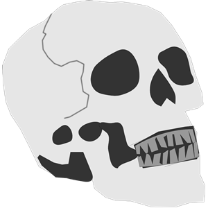 Simplified Skull