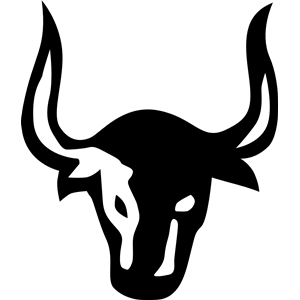 Bulls head 2