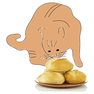 A cat smells bread