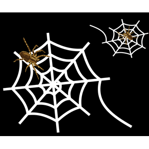 Spider-web
