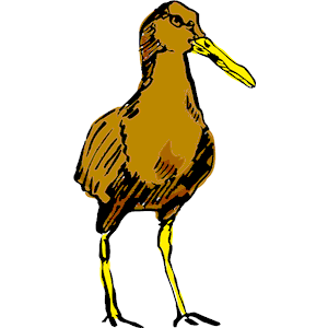 Bird 08