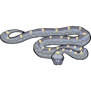Snake 20