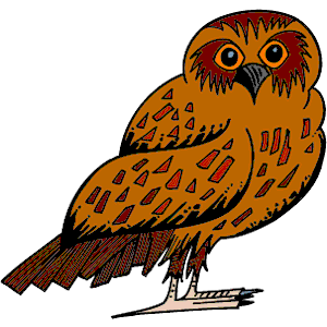 Owl 20