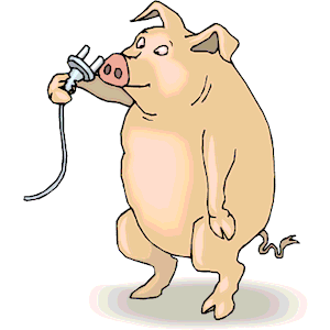 Pig with Nose Plug