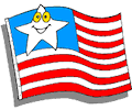 Flag - Cartoon