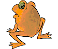 Frog Rear