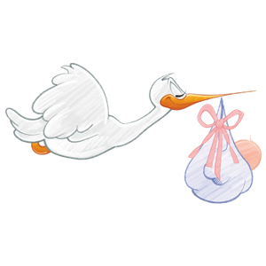 Stork Carrying Baby Girl