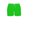 Green Swim Shorts