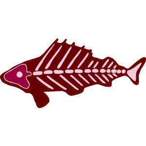 Fish Skeleton 4