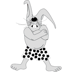Rabbit in Boxers