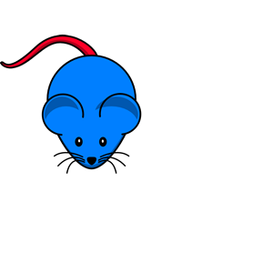 Blue Mouse Red Tail