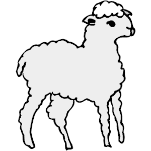 Lamb 5