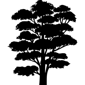 Tree silhouettes