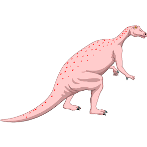 Dinornis 13