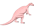 Dinornis 13