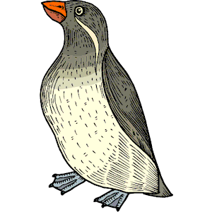Penguin 14