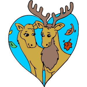 Moose in Love